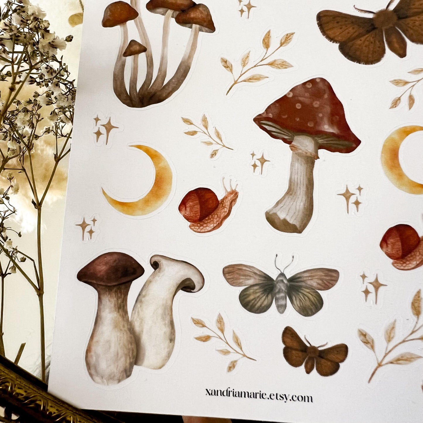 Mushroom & Moth Sticker Sheet, Moon Sticker Sheet