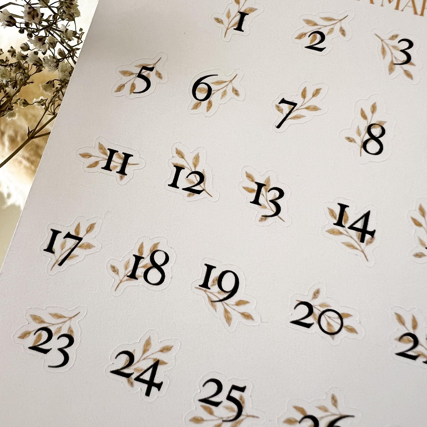 Number & Leaf Sticker Sheet, Stickers for Planner, Calendar