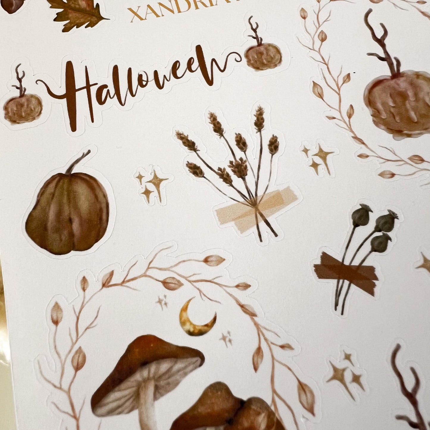 Spooky Fall Stickers, Mushroom Sticker Sheet, Halloween Stickers